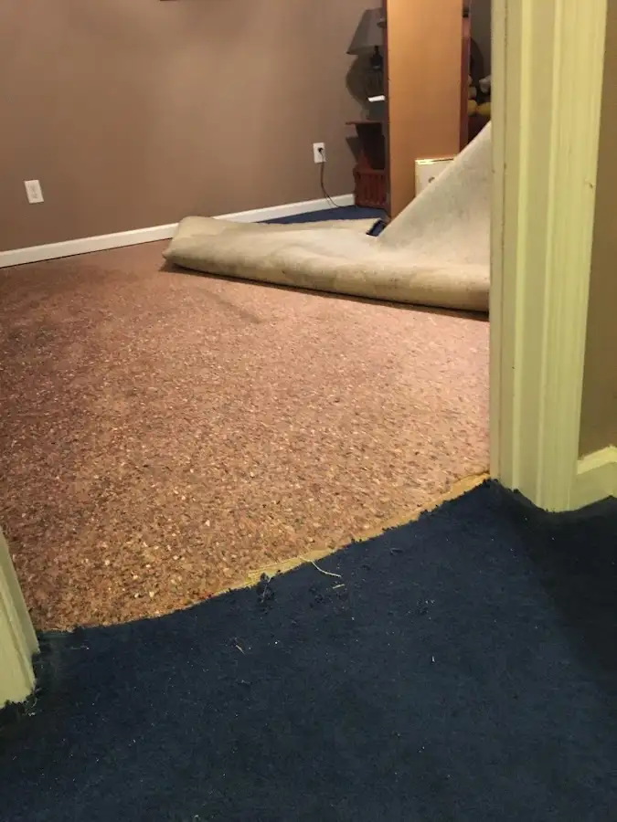 Carpet pad removal revealing water damage during Drying & Dehumidification in Aquia Harbour