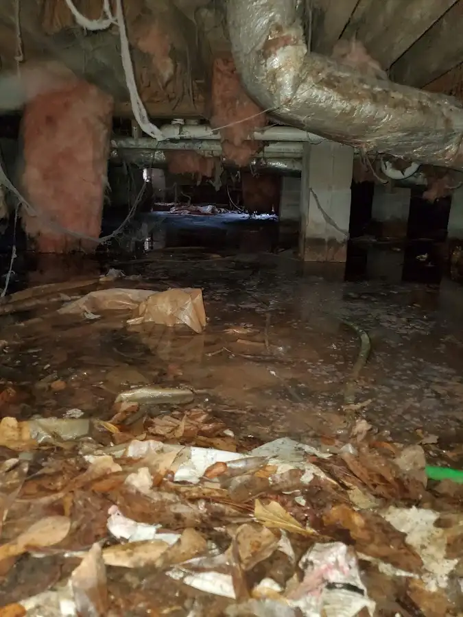 Crawl space flood assessment for Leak Detection & Repair in Aquia Harbour